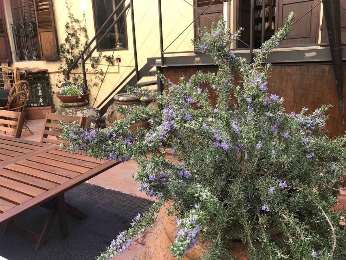 Appartement The Terrace In Santa Croce Florence